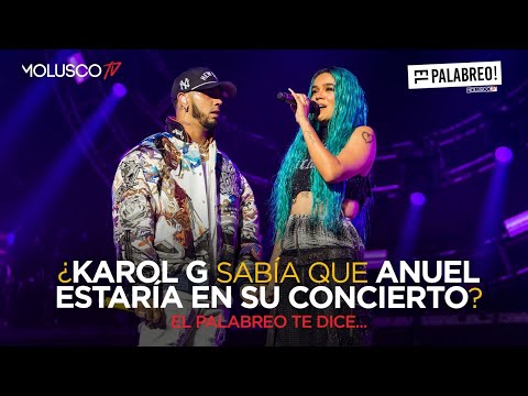 ¿ Karol G sabía que Anuel estaría en su concierto ? Guerra entre Molu y Mario ?