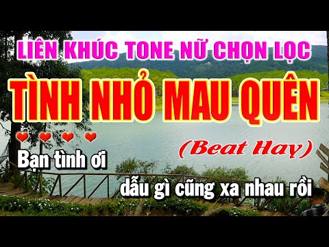 Karaoke Liên Khúc Tình Nhỏ Mau Quên Nhạc Sống Trữ Tình Tone Nữ | Làng Hoa