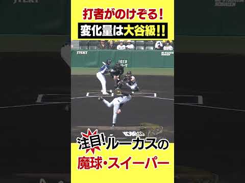 【特報!】阪神が大谷翔平を連れてきた!?#阪神タイガース #hanshintigers #虎バンチャンネル #プロ野球 #shorts #shortvideo#スイーパー#大谷翔平#ルーカス