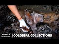 Fossil Excavation and Preservation Concepts