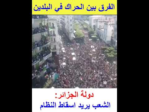#SHORTS  قل لي بماذا تطالب أقول لك من أنت .. حراك المغرب ضد حراك الجزائر