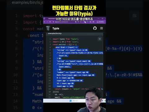 런타임에 타입이 사라지는데도 타입검사가 가능한 이유(feat. typia)