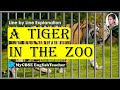 Understanding 'A Tiger in the Zoo'