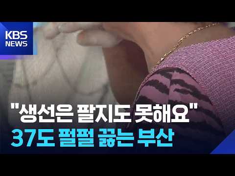 낮 최고 37도 폭염 기승…온열질환자도 속출 / KBS  2026.07.27.