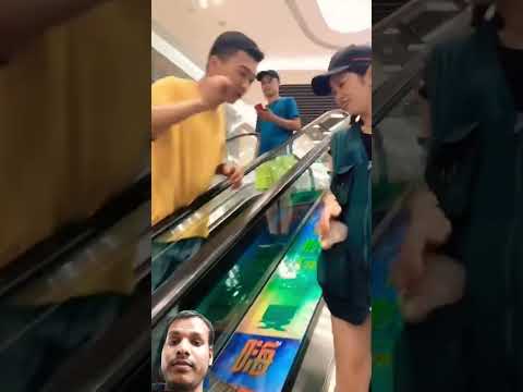 #All My Pets, One Big Hug#Caught with a Handful of #Fluffy Squad Goals #caught #hungergamestiktok