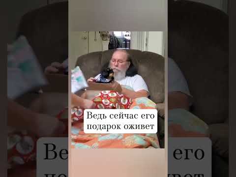 Эти эмоции не сыграет даже самый талантливый актёр... #собака #любовь #топ #шортс #animals #музыка