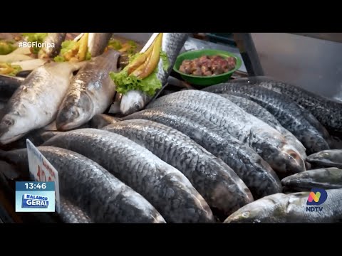 SC Saudável: Itajaí lidera em produção e exportação de peixes no Brasil