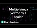 Vector Operations and Scalar Multiplication