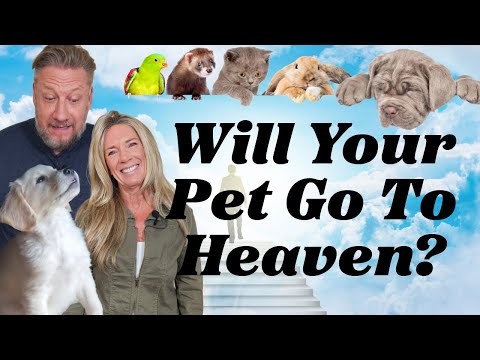 Will Your Pet Go To Heaven? (The Biblical Truth)