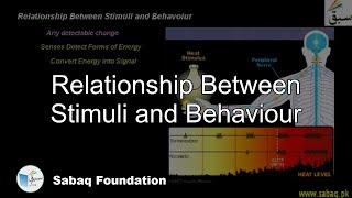 Relationship Between Stimuli and Behavior