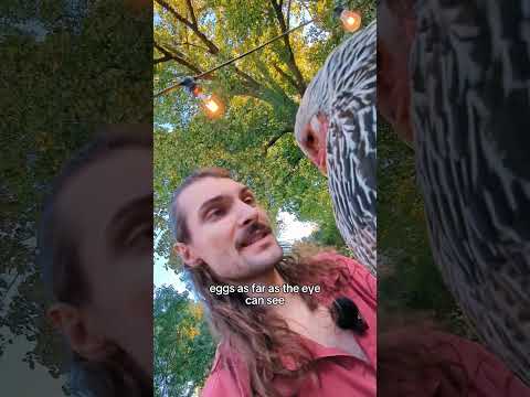 ashes. Smithereens, even #funny #comedy #skit #roasted #vine