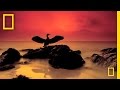 Photography Themes and Techniques