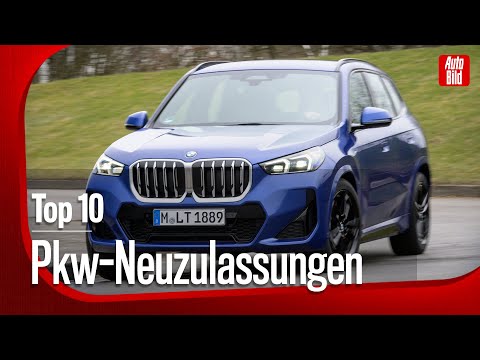 Pkw-Neuzulassungszahlen Mai 2025: Top 10