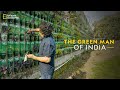The Green Man of India: A Journey of Plant Conservation