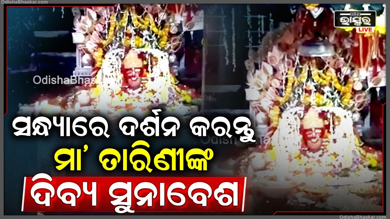 ସନ୍ଧ୍ୟାରେ ଦର୍ଶନ କରନ୍ତୁ ଘଟଗାଁ ରାଣୀ ମା' ତାରିଣୀଙ୍କ ଦିବ୍ୟ ସୁନାବେଶ, ମା'ଙ୍କ ଅପାର କରୁଣା ପ୍ରାପ୍ତି ହେବ