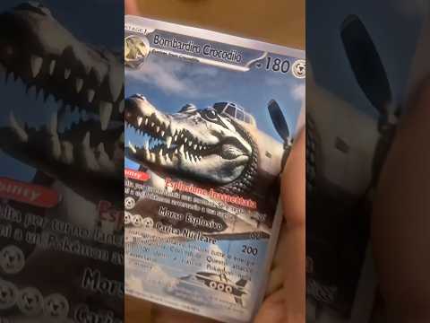 BOMBARDIRO cocodrilo 🐊