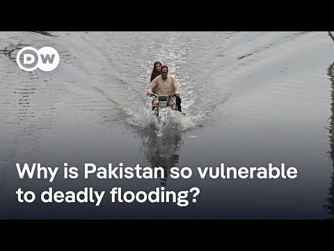 Pakistan torrential floods leave dozens dead | DW News