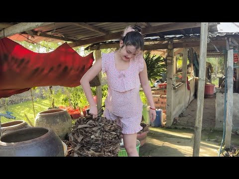 Trúc Phương thử trồng nấm rơm trên lá chuối khô cực dễ #400 | Cuộc sống miền tây