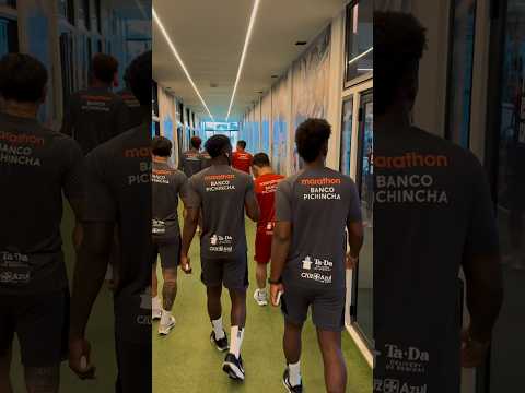 Práctica en Brasil, vamos ídolo. 👊⚔️