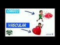 Cardiovascular Endurance Concepts
