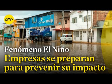 Qué medidas pueden tomar las empresas para prevenir el impacto de