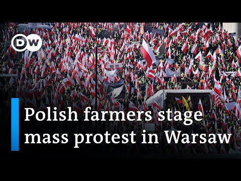 Polish farmers protest against Ukrainian imports | DW News
