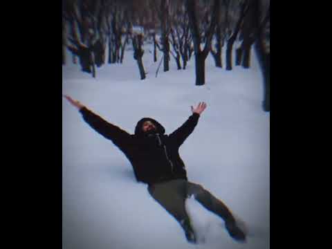 When Life Gives You Snow… Dive In! 🌨️ #snow #fyp #viralreels #reeltrending  #explorpage