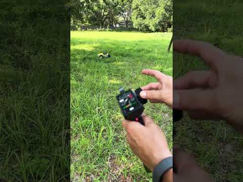 ZIPmow Cutting Tall Grass & Weeds