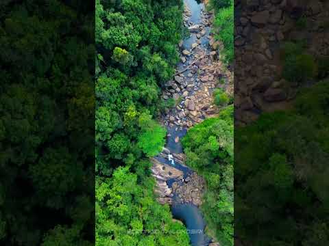 Exploring the Hidden Beauty of a Small River Branch Near Arsulana Eco Lodge, Ginigathhena. #fyp 😍