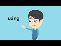 Understanding the Transcript