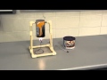 Cashew Experiment and Temperature Changes