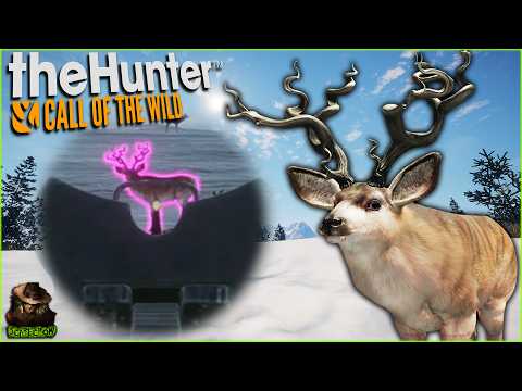 Hunting The Great One Mule Deer With Iron Sights 30-30! Call of the wild