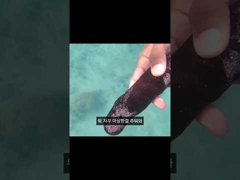 뭔가찝찝해서 영상확인하니 이짓한거였음.. 본 영상있어요 #푸켓 #여행