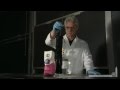 Chemical Reaction of Sugar and Sulfuric Acid