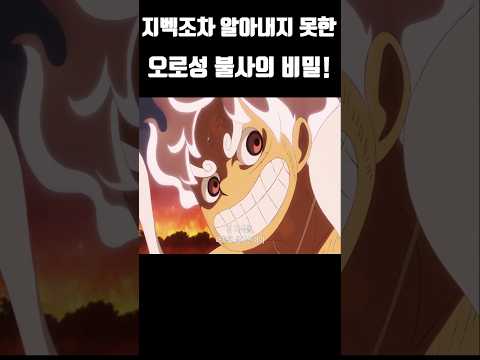 지벡조차 알아내지 못한 오로성 불사의 비밀! #원피스 #onepiece