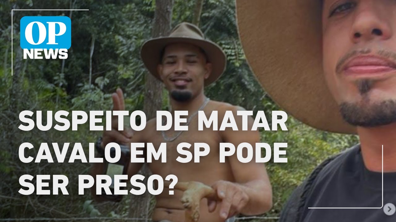 Cavalo mutilado em SP veja o que pode acontecer com suspeito de crime l O POVO News