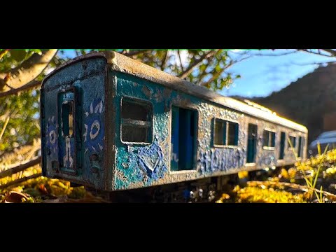 シン草ヒロ　banded miniature world