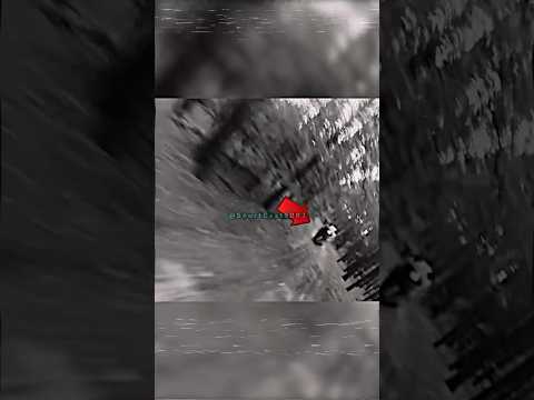 Joe Rogan Parody Reaction To Mountain Biker Gets ATTACKED By A BEAR… 🐻☠️