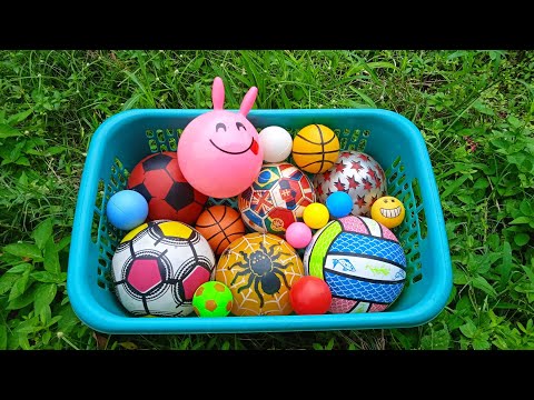 Mencari Bola Basket, Bola Warna Warni, Bola Sepak, Bola Emoji,Mobilan,Ikan,Bebek,Telur Kejutan,Balon