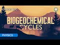 Biogeochemical Cycles and Ecosystem Interactions