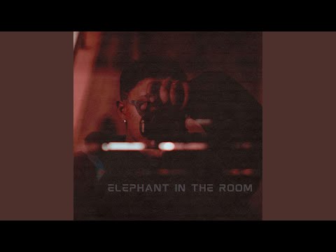 Elephant In The Room