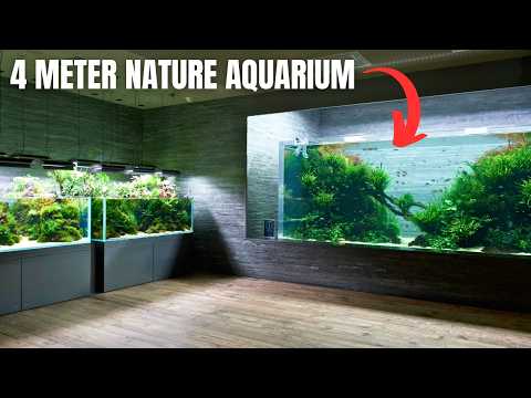 THE BIGGEST AND BEST AQUARIUMS IN TOKYO JAPAN!