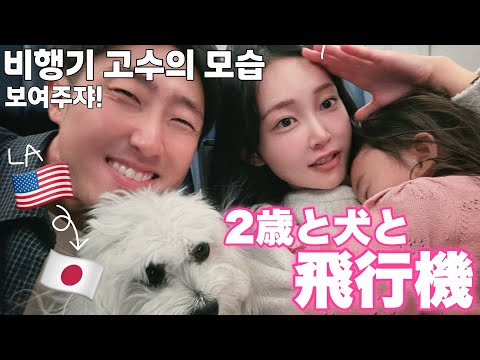 【12時間子連れフライト】LA🇺🇸から2歳娘と犬の挑戦✈️疲れてボロボロになる覚悟で挑む11度目の飛行機旅😂