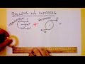 Motion and Speed in Rolling Objects
