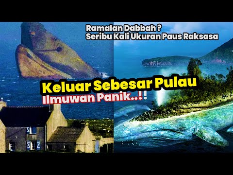 SAAT INI SUDAH MUNCUL! SUARA KOLOSAL MONSTER RAKSASA DEKAT ANTARTIKA
