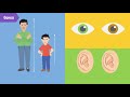 Understanding Heredity and Genetics