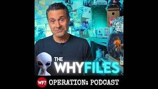 The Basement: Mitch Horowitz | Gandhi, Reagan, and the Occultists History Erased