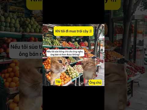 #funny #memes #haihuoc #catmeme #cat