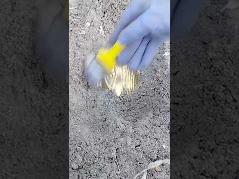 Era OURO!! ✅😳 #viral