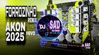 FORROZINHO INTERNATIONAL REMIX 2025 - Akon - Akon's Beautiful Day, ALTA QUALIDADE - PARA PAREDÃO 💥💯🤩